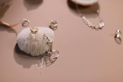 Todo lo que necesitas saber sobre la PLATA