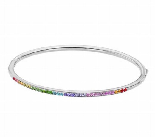 Pulseira Rígida Lotus Rainbow