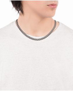 Graue Vizekönigskette im Ip-Alter