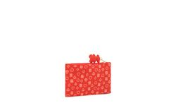 Neceser pequeño Tous Bear Anniversary Rojo