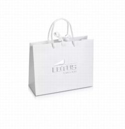 Lotus Silber Stern Ohrringe