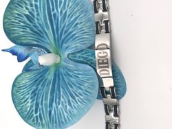 Pulsera Lotus unisex de acero y silicona