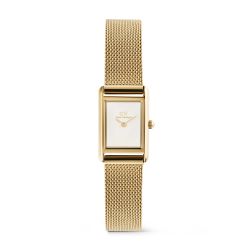 Reloj Daniel Wellington Bound Mini Evergold