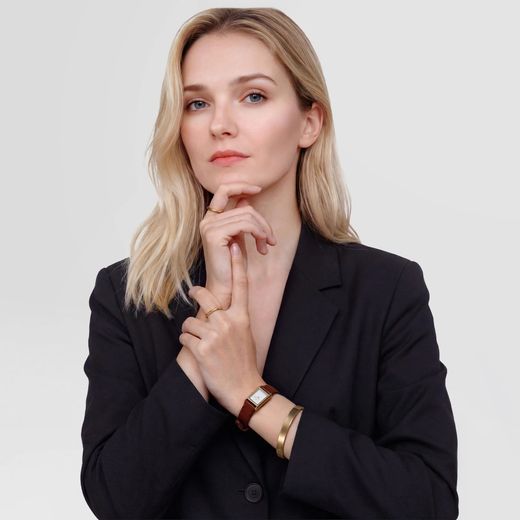 Reloj Daniel Wellington Bound Mini Light Brown Lizard Gold