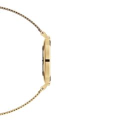 Daniel Wellington Petite Evergold Uhr