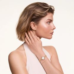 Daniel Wellington Petite Mini Evergold Uhr