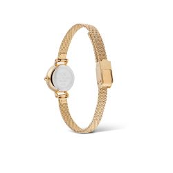 Daniel Wellington Petite Mini Evergold Uhr