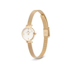 Daniel Wellington Petite Mini Evergold Uhr