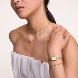 Reloj Daniel Wellington Quadro Mini Evergold Champagne