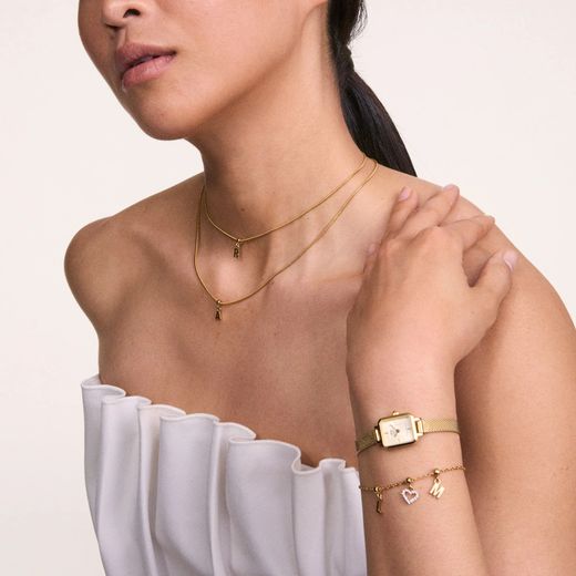 Reloj Daniel Wellington Quadro Mini Evergold Champagne