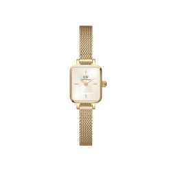 Reloj Daniel Wellington Quadro Mini Evergold Champagne